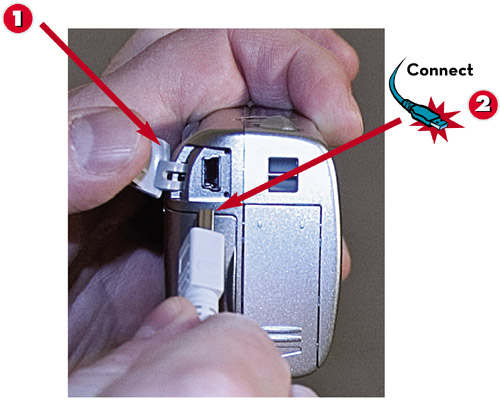 Transferring Pictures from a Digital Camera