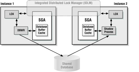 Integrated Distributed Lock Manager - Oracle Parallel Processing [Book]