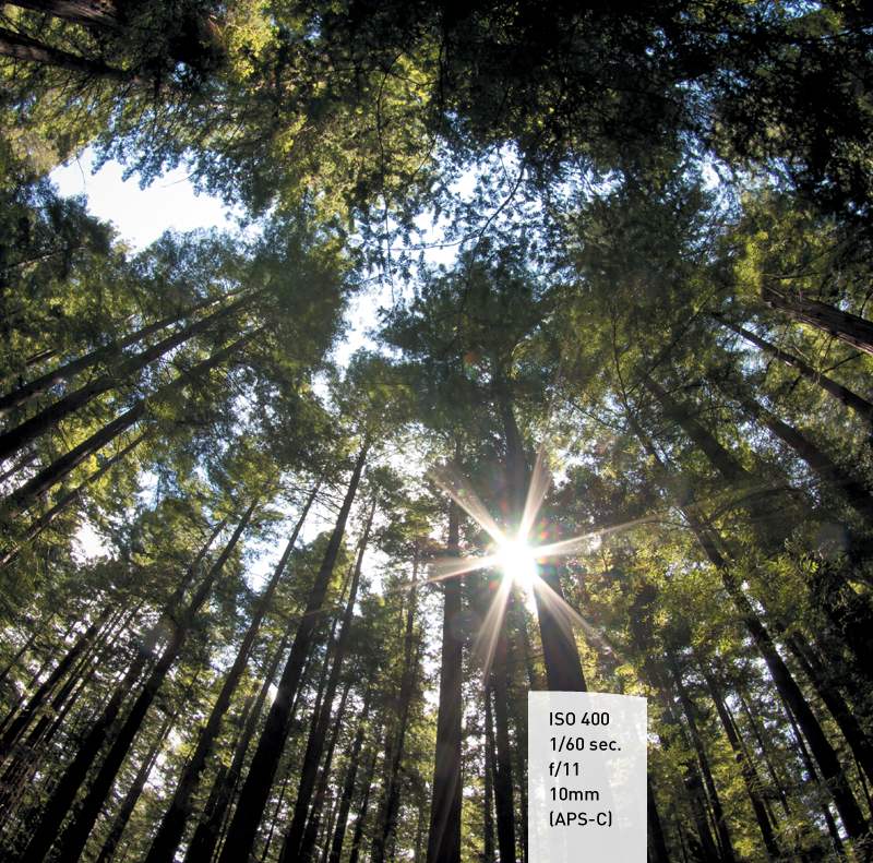 3. Light - Landscape Photography: From Snapshots to Great Shots [Book]