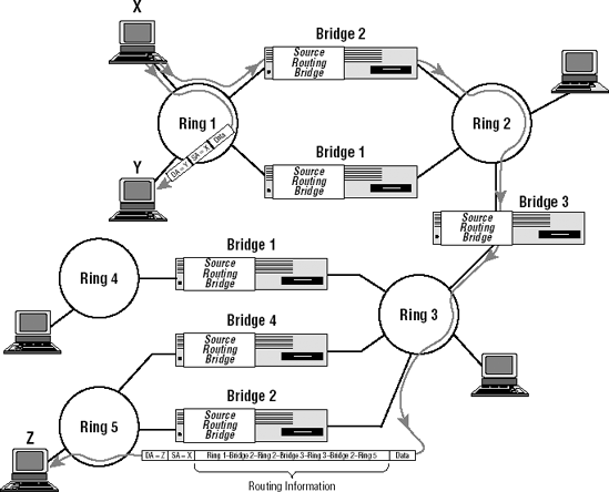 Overview of Source Routing Operation - The All-New Switch Book: The ...