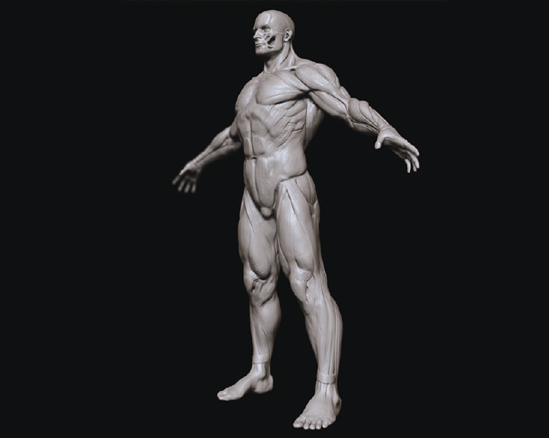 1. Blocking In the Mesh - ZBrush Digital Sculpting Human Anatomy [Book]