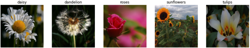 Rose Flower Classification Using Machine Learning 2. ML Models for Vision - Practical Machine Learning for Computer ...