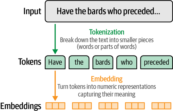 2. Tokens and Embeddings - Hands-On Large Language Models [Book]
