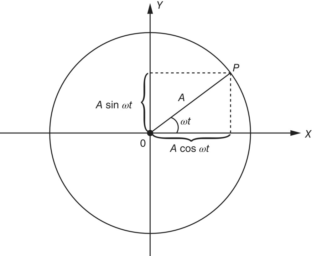 Schematic illustration of the representation of simple harmonic motion by projection of the rotating vector A on the X- or Y-axis.