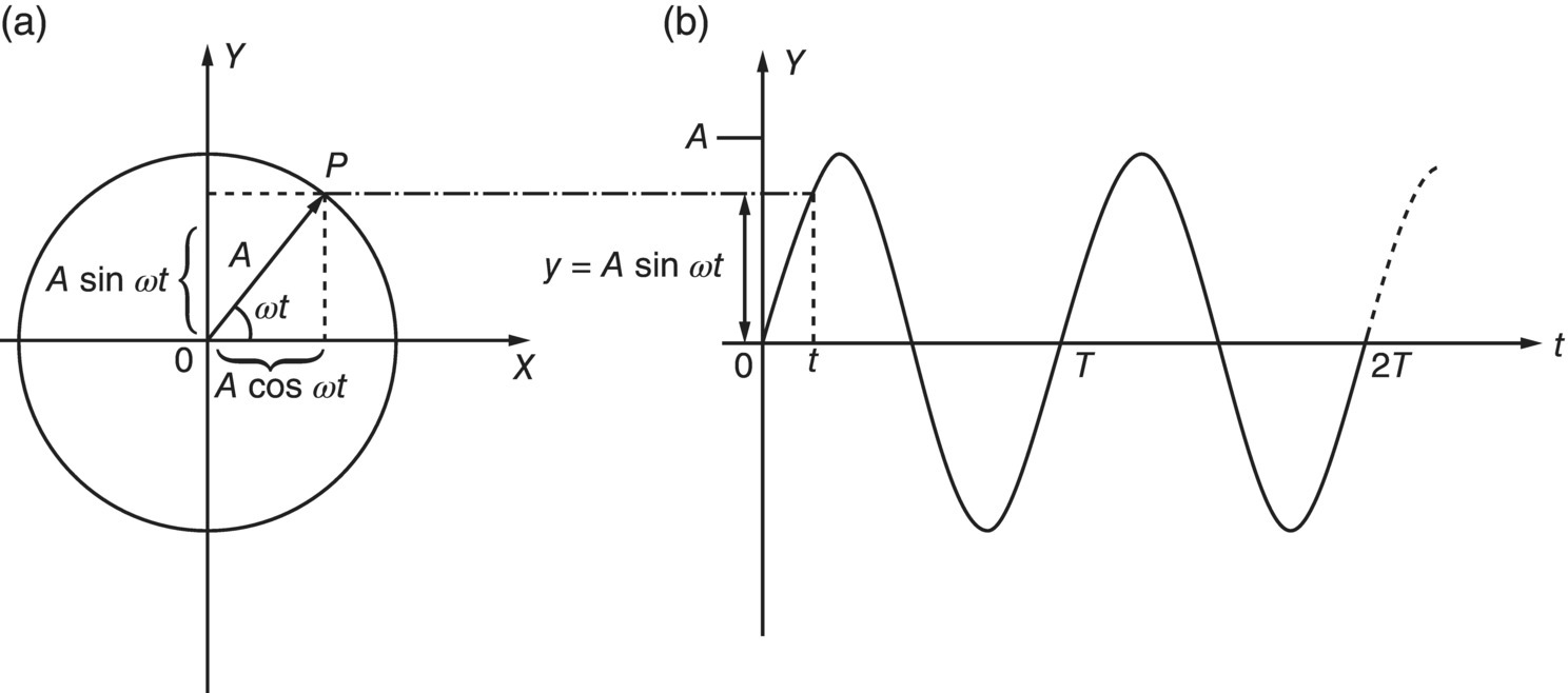 Schematic illustrations of (a and b) simple harmonic motion.