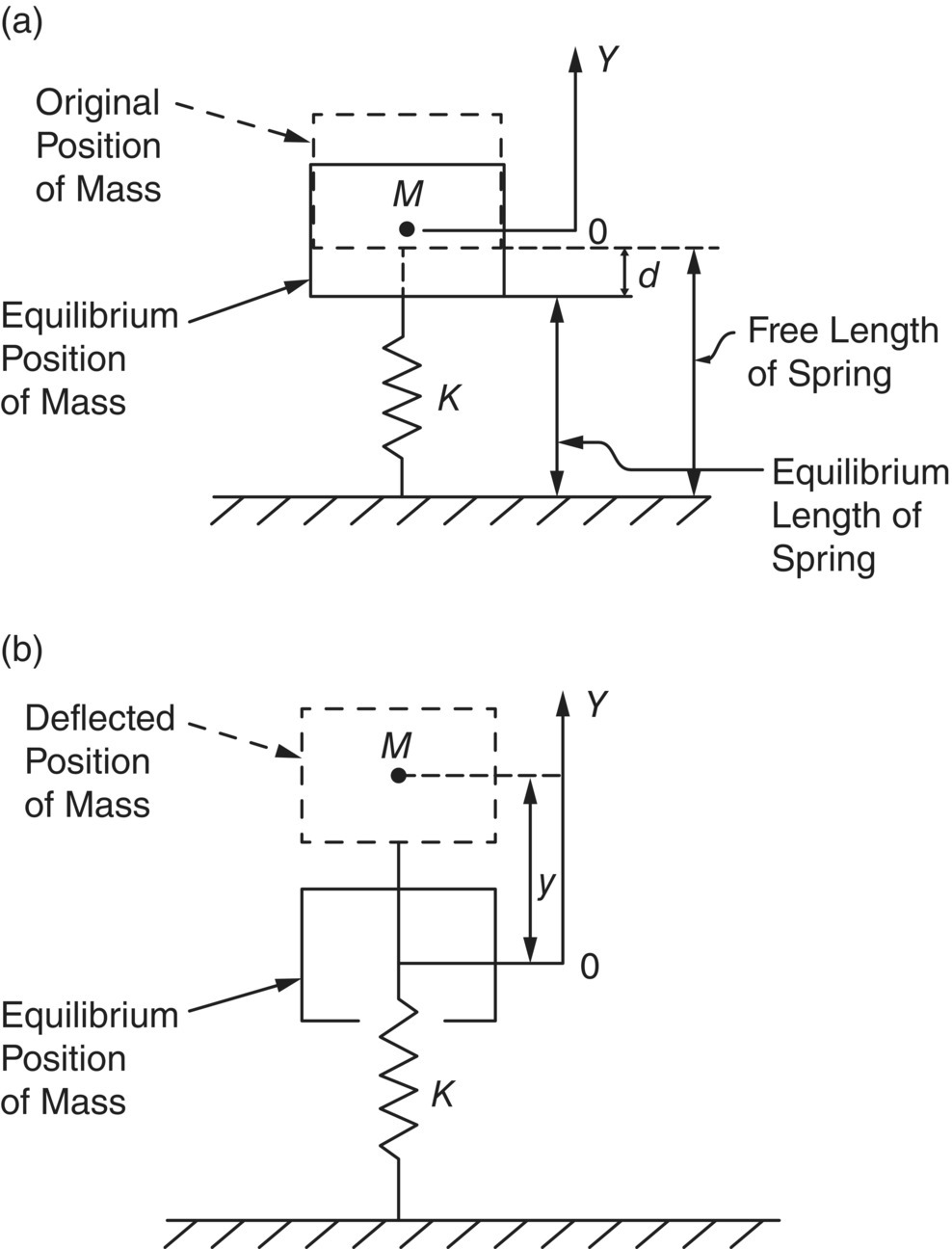 Schematic illustrations of the movement of mass on a spring: (a) static deflection due to gravity and (b) oscillation due to initial displacement y0.