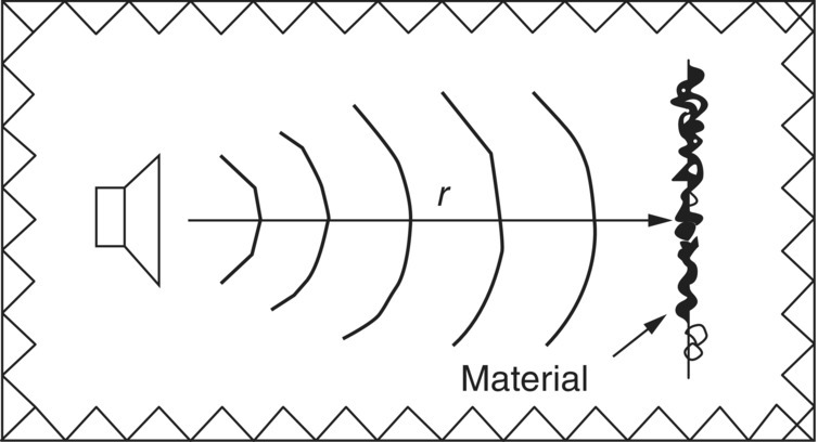 Schematic illustration of sound source in anechoic room.