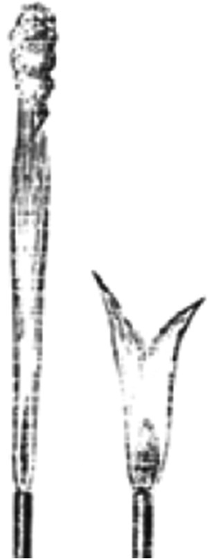 Schematic illustration of Tyndall's flames in which a long flame may be shortened and a short one lengthened, according to circumstances, by these sonorous vibrations.