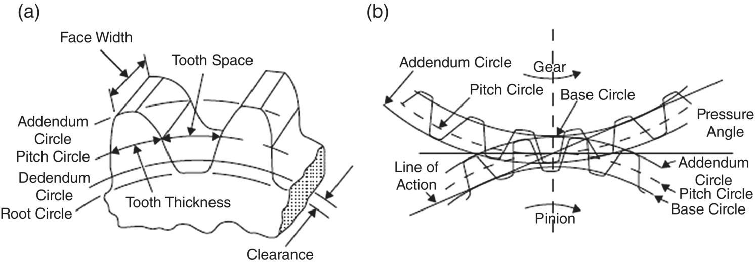 Schematic illustration of the terms used with gears: (a) involute gear, (b) meshing of two parallel-axis spur gears.