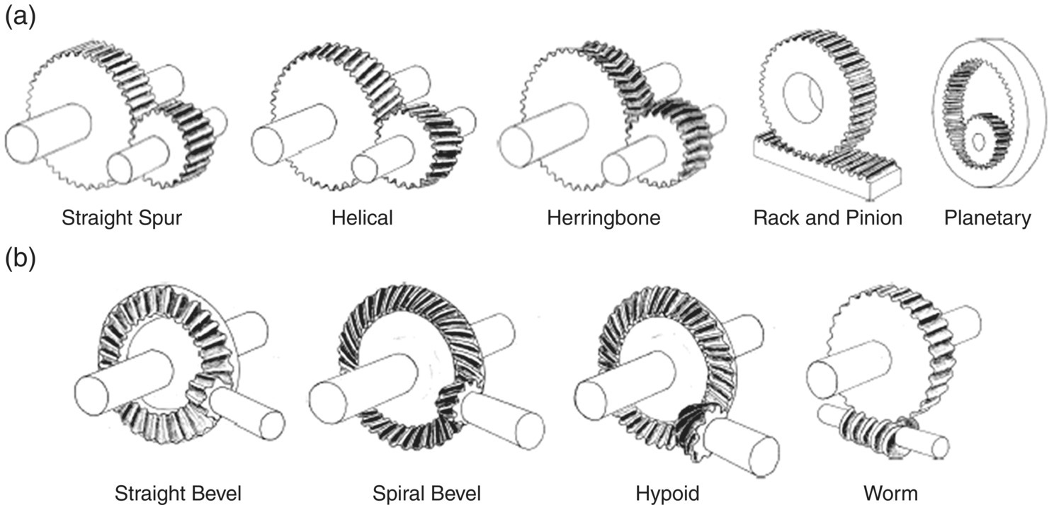 Schematic illustration of the main types of gear in use: (a) parallel axis and (b) nonparallel axis.
