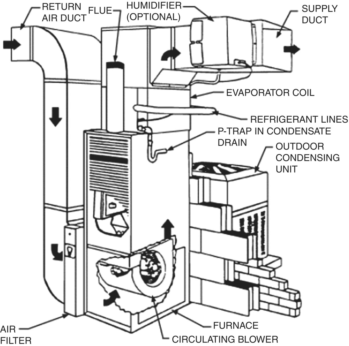 Schematic illustration of typical residential installation of heating, cooling, humidifying, and air filtering system.