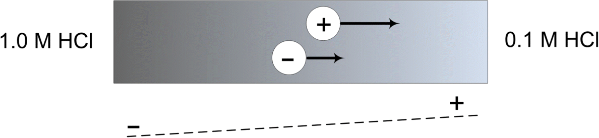 Figure depicting the schematic illustration of a liquid junction, where the arrows are proportional to the diffusivity of the ion.