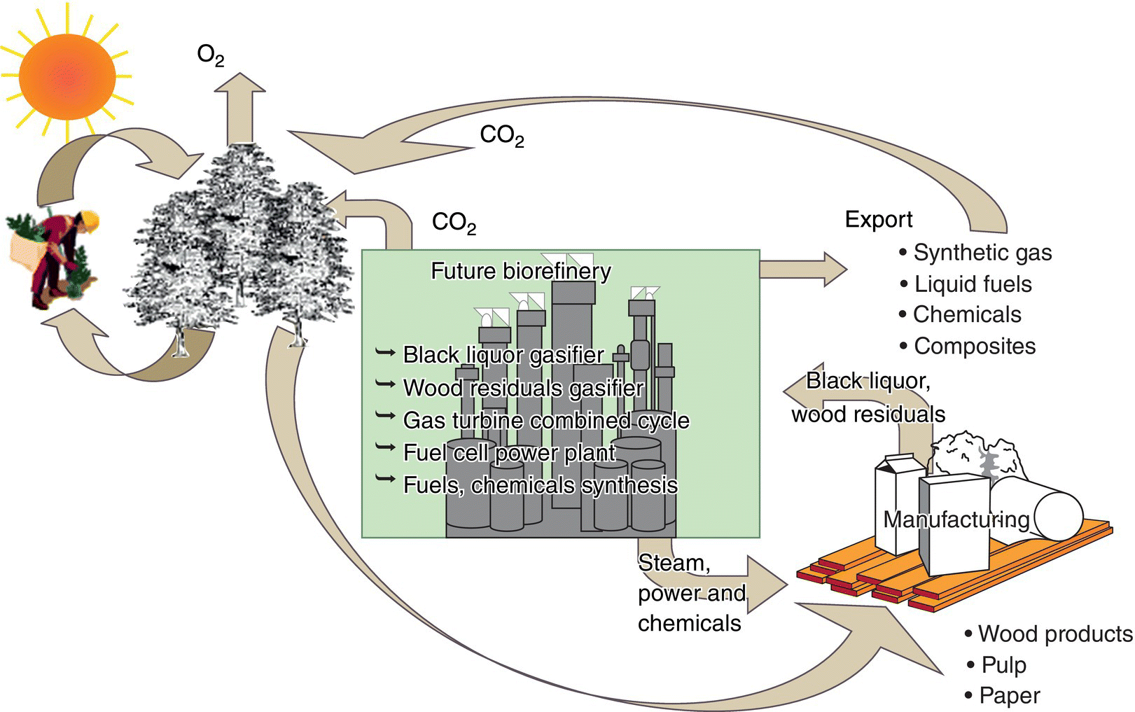 Schematic diagram illustrating the “biorefinery” concept based on pulp and paper manufacturing facility.