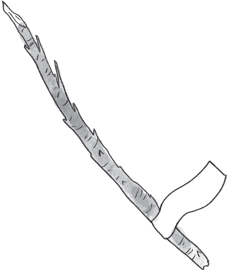 Chapter Two: The Sticks - Stick Together [Book]