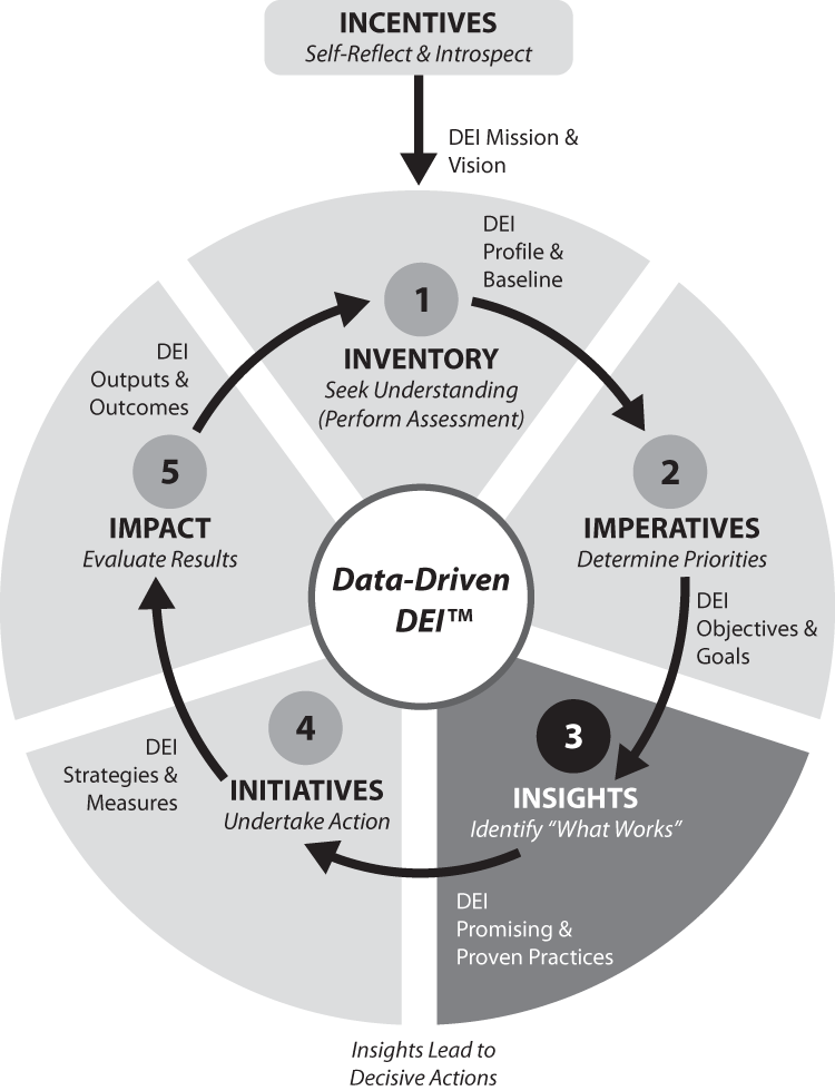 STEP 3: DEI Insights—Identify “What Works” - Data-Driven DEI [Book]