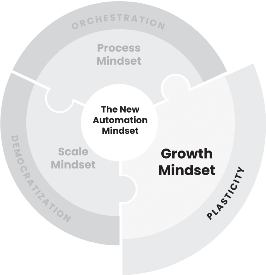 CHAPTER 6: Plasticity - The New Automation Mindset [Book]