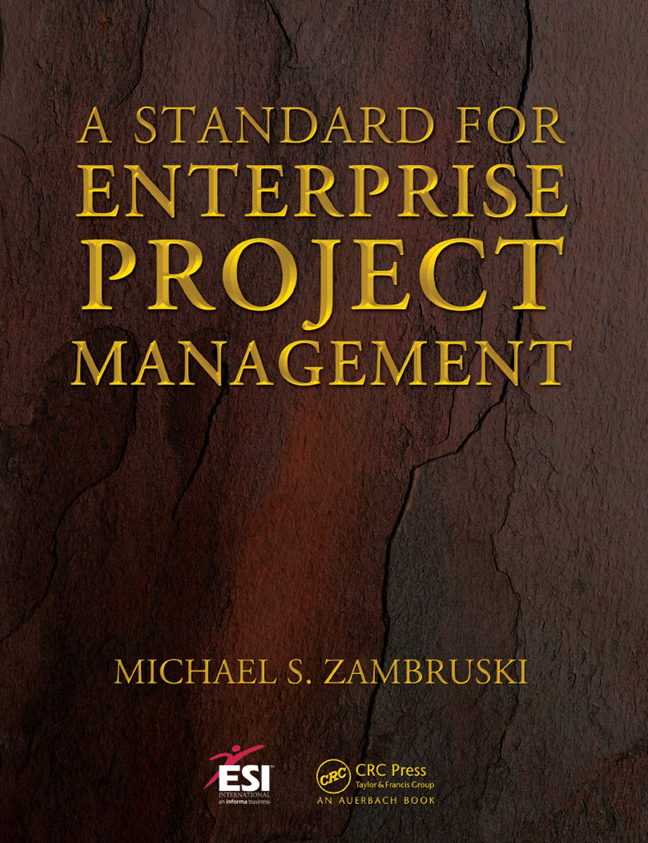 Cover - A Standard for Enterprise Project Management [Book]