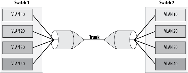 5. Trunking - Network Warrior, 2nd Edition [Book]