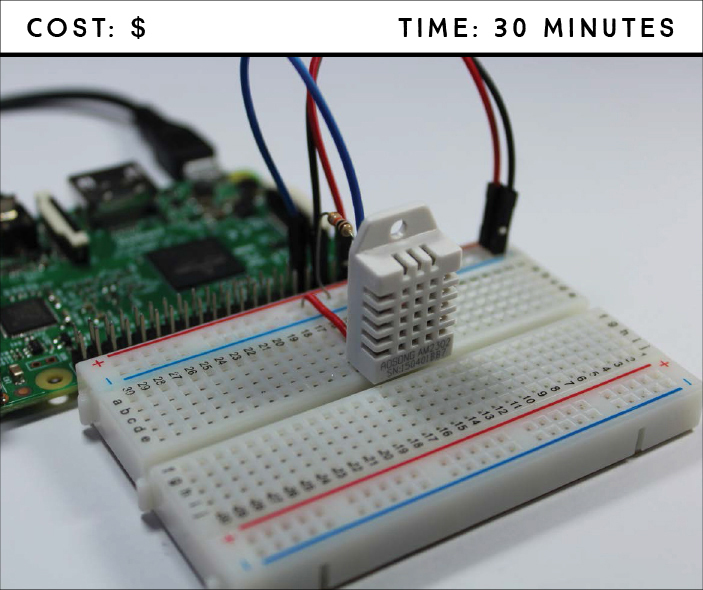 20 Easy Raspberry Pi® Projects - 20 Easy Raspberry Pi Projects [Book]