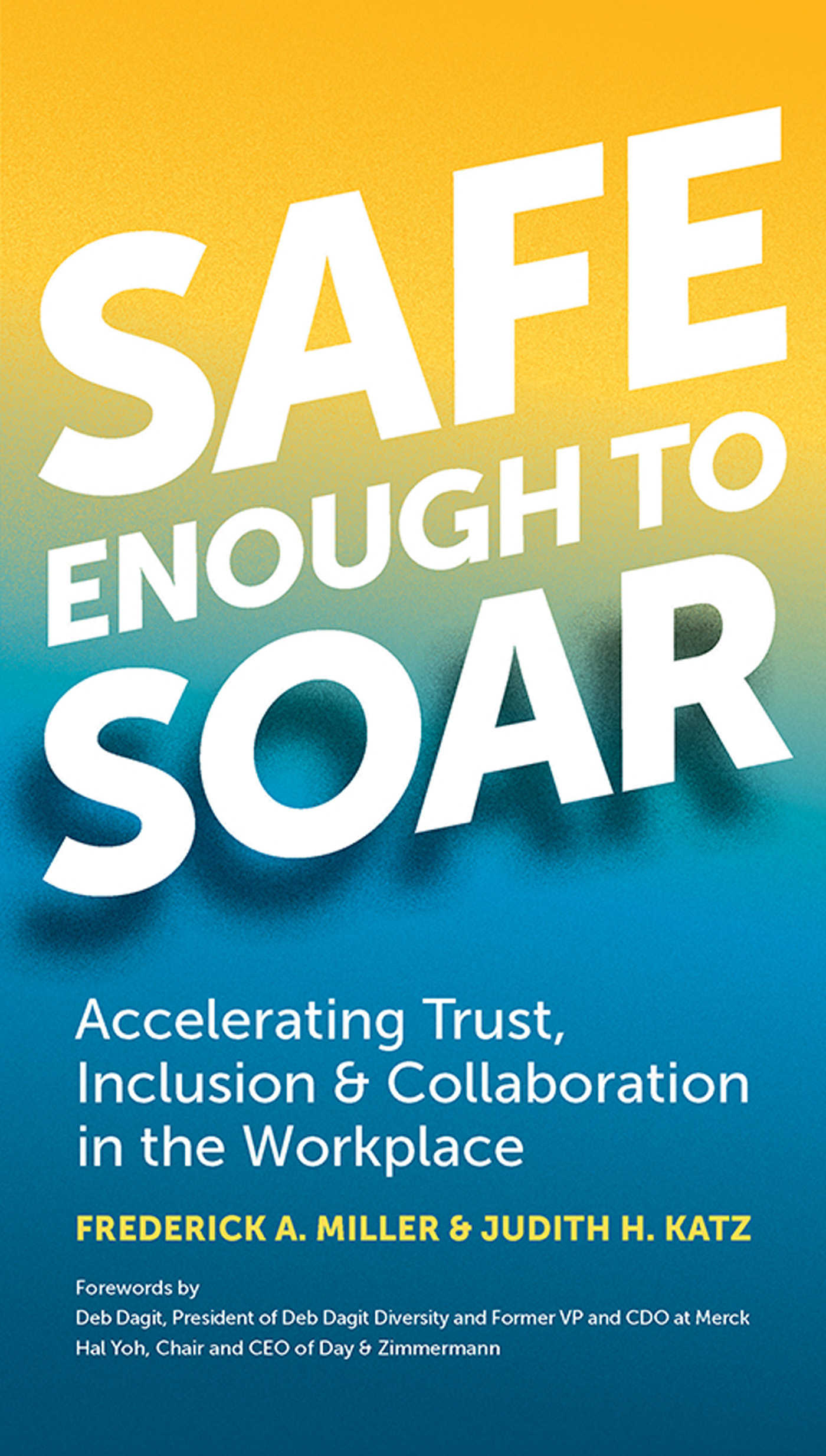 Cover - Safe Enough to Soar [Book]