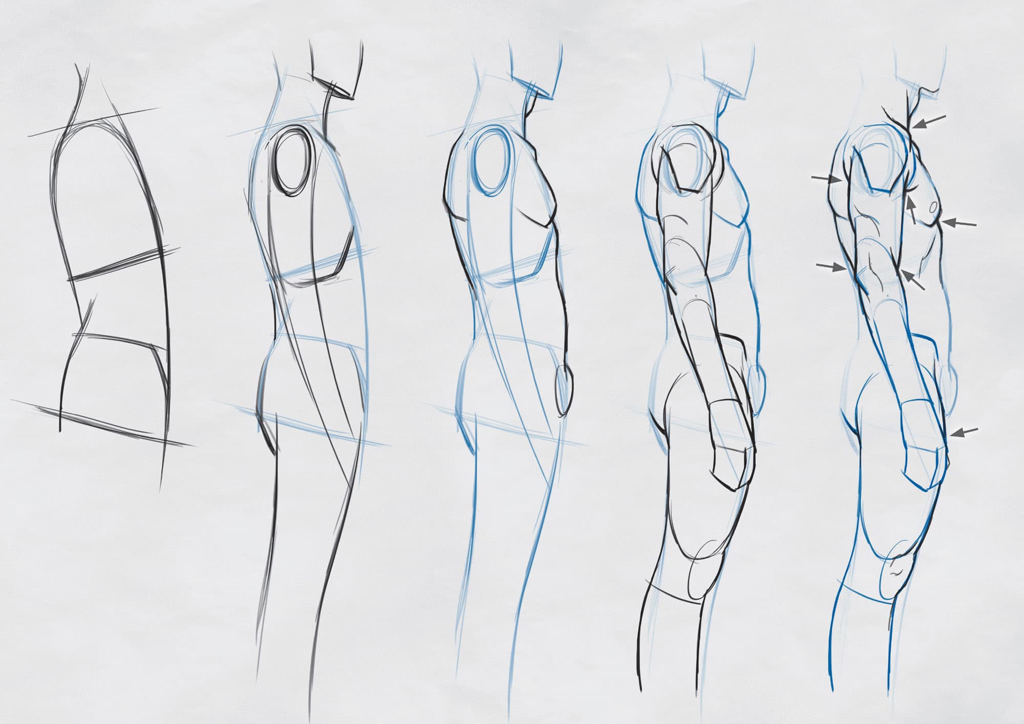 Chapter 4 | Side View and Perspective - Life Drawing for Artists [Book]