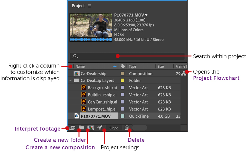 The Project Panel - Adobe After Effects [Book]