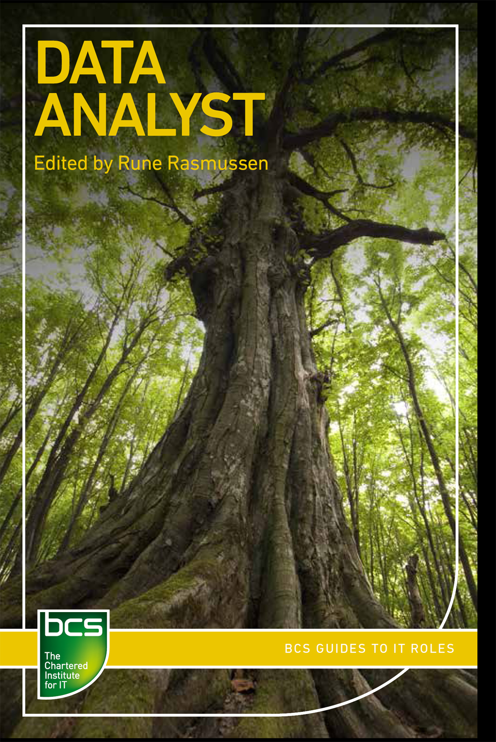 Front Cover - Data Analyst [Book]