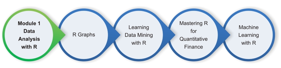 Course journey - R: Data Analysis and Visualization [Book]