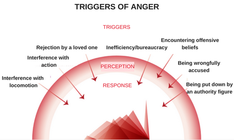 Triggers of anger - Emotional Intelligence for IT Professionals [Book]