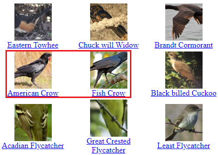 Predicting bird species with random forests - Python Artificial ...
