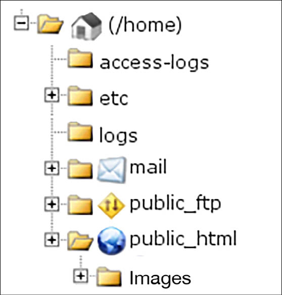 Where are the HTML Files Stored? - Exploring Computer Hardware [Book]