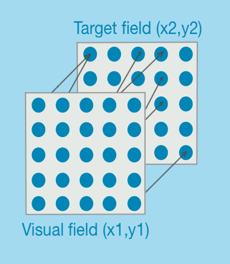 Neuroevolution Python Visual discrimination experiment setup - Hands-On Neuroevolution with ...