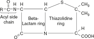 Figure 13.1 Structure of Penicillin