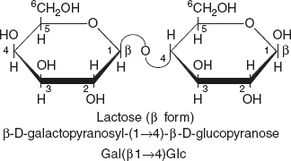 Figure 2.10 Structure of Lactose