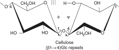 Figure 2.15 Structure of Cellulose