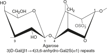 Figure 2.16 Structure of Agarose