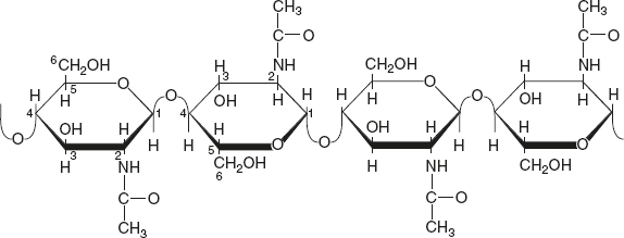 Figure 2.18 Structure of Chitin