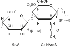 Figure 2.20 Structural Representation of Chondroitin Sulphate