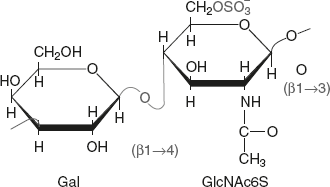 Figure 2.22 Structural Representation of Keratan Sulphate