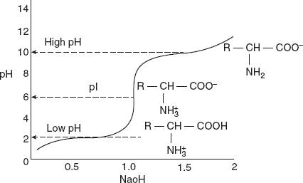 Figure 3.1 Titration Curve of Amino Acid Leucine