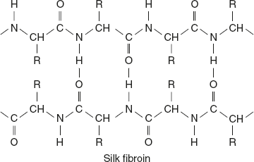 Figure 3.18 Structure of Silk Fibroin