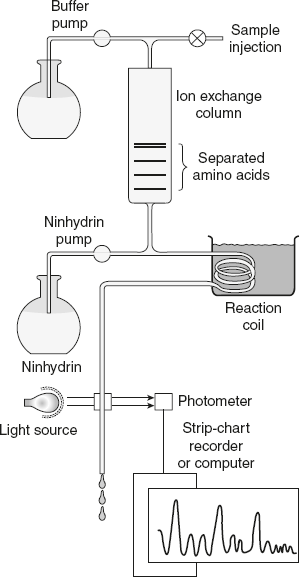 Figure 3.19 Diagrammatic Representation of Amino Acid Analyser