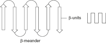 Figure 3.6 β-Meander Pattern