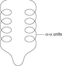 Figure 3.7 α-αUnits Pattern