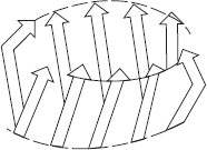 Figure 3.8 β-Barrel Arrangement