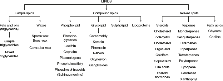 Figure 4.1 Classification of Lipids