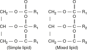 Figure 4.2 Structure of Triglycerides
