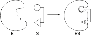 Figure 6.18 Substrate Strain Model