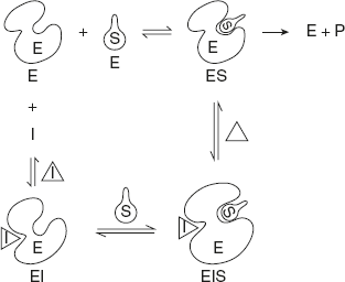 Figure 6.21 Non-competitive Inhibition