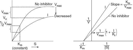 Figure 6.22 Effect of Non-competitive Inhibitor
